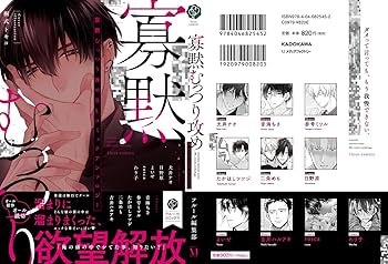 Amazon.co.jp: 寡黙むっつり攻めBL コミックアンソロジー